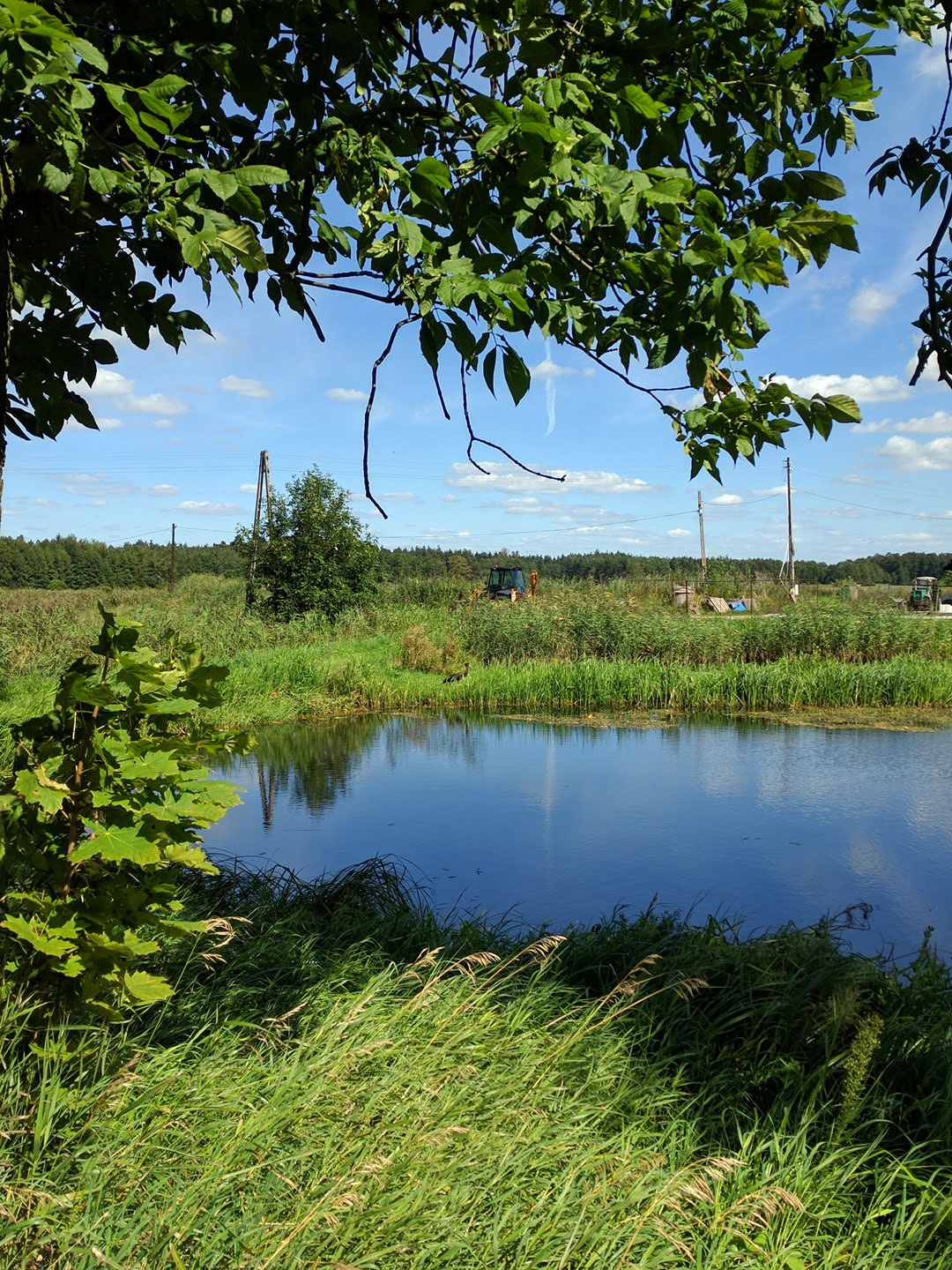 Gospodarstwo hodowlane Krzelów i Mieronice